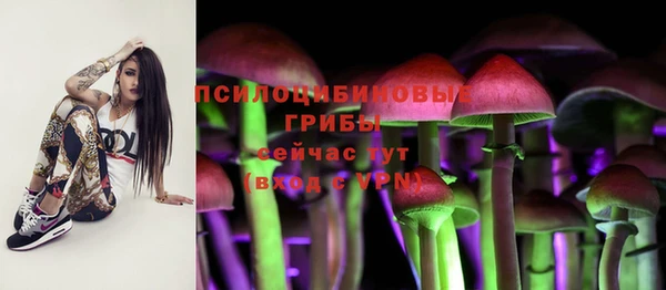 скорость Кинешма