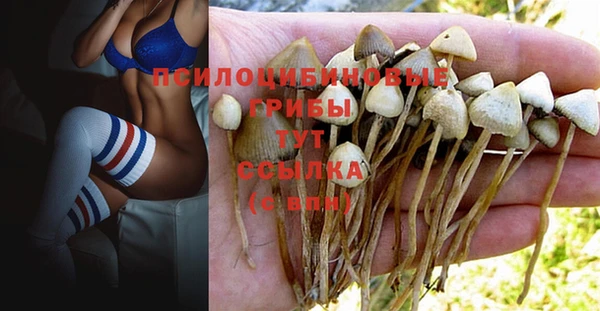 mix Киренск