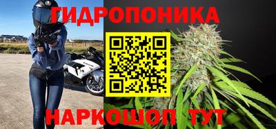 гашишное масло Гусев