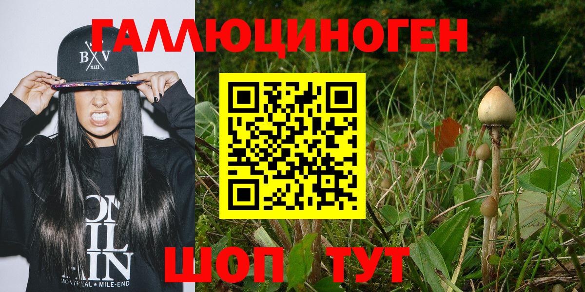 Кемерово  как найти   Вход с VPN  Галлюциногенные грибы Psilocybe  Галлюциногенные грибы Psilocybe 