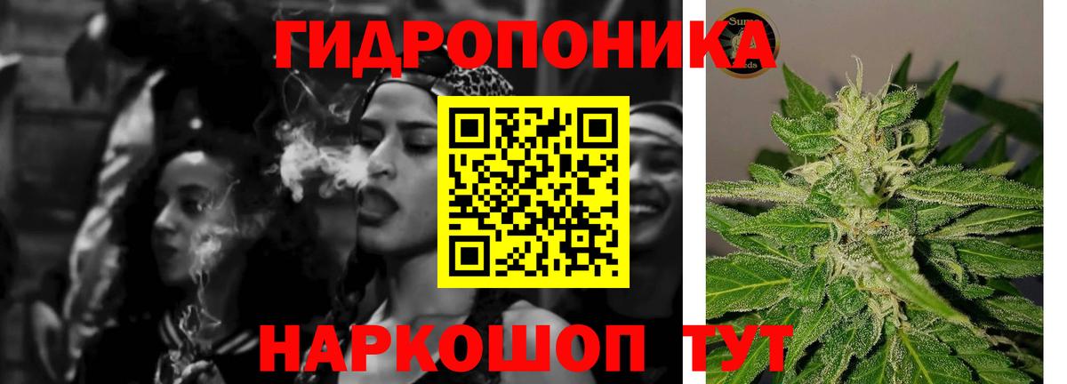 Шишки марихуана индика  Вход с VPN  Кемерово  МАРИХУАНА тримм  Конопля ГИДРОПОН 